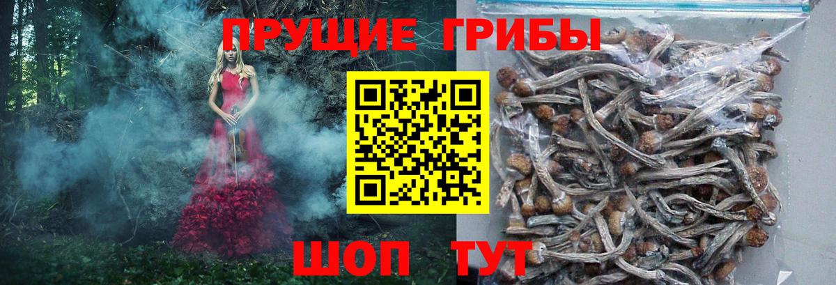 Псилоцибиновые грибы мухоморы  Вход с VPN  Алейск 