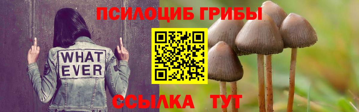 Псилоцибиновые грибы MAGIC MUSHROOMS Алейск